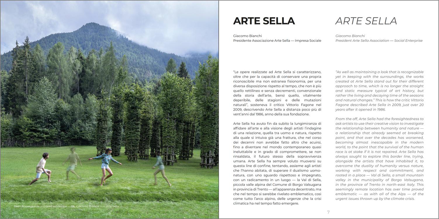 Arte Sella - fra Architettura, Natura e Umanità - immagine 3